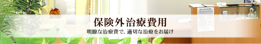 保険外治療費用 明瞭な治療費で、適切な治療をお届け